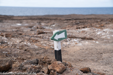 Galapagos-Natur3.jpg